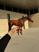 Miniatura de Cavalo